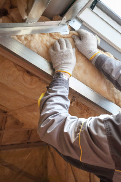 Best Home Insulation Services  in Fort Oglethorpe, GA