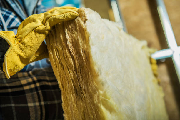 Best Insulation Inspection Services  in Fort Oglethorpe, GA