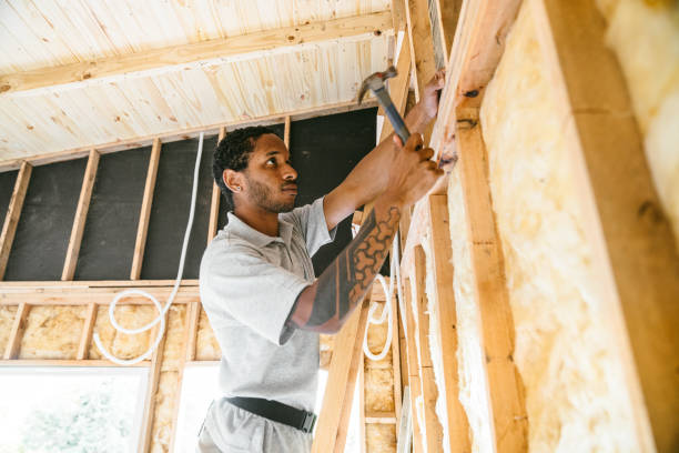 Best Insulation Removal  in Fort Oglethorpe, GA